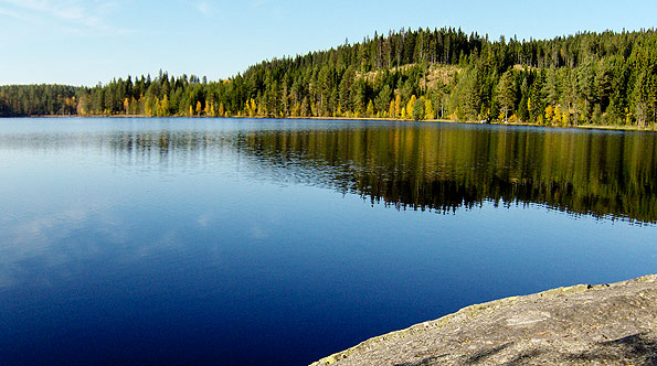 Bilde fra arkivet